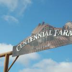 DR_Crusin4Cure_0088 (September 28, 2019)